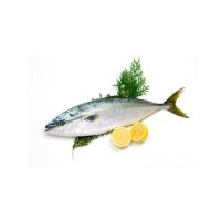 ราคา ปลาสำลีญี่ปุ่น กก.ละ (75572665)