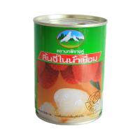 ราคา นกพิราบคู่ ลิ้นจี่ในน้ำเชื่อม 540 กรัม DOUBLE PIGEON (75598568)