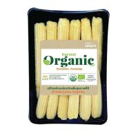 ราคา ORGANIC HARVEST FARM ข้าวโพดอ่อนออร์แกนิค แพ็คละ ORGANIC HARVEST FARM (75566311)