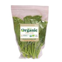 ราคา ORGANIC HARVEST FARM คะน้ายอดออร์แกนิค แพ็คละ ORGANIC HARVEST FARM (75566310)