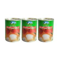 ราคา นกพิราบคู่ ลิ้นจี่ในน้ำเชื่อม 540 กรัม แพ็ค 3 DOUBLE PIGEON (171315229)