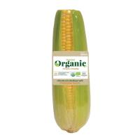 ราคา ORGANIC HARVEST FARM ข้าวโพดหวานออร์แกนิคฝักเดี่ยว แพ็คละ ORGANIC HARVEST FARM (75566283)