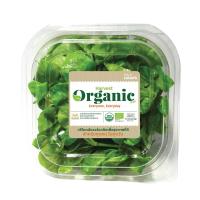 ราคา ORGANIC HARVEST FARM วอเตอร์เครสออร์แกนิค แพ็คละ ORGANIC HARVEST FARM (75566296)