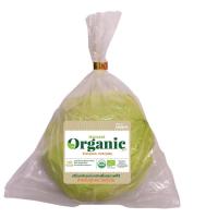 ราคา ORGANIC HARVEST FARM กะหล่ำปลีออร์แกนิค แพ็คละ ORGANIC HARVEST FARM (75566280)