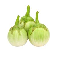 ราคา มะเขือเปราะ พรีเมี่ยม กก.ละ (75543354)