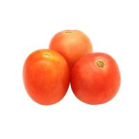 ราคา มะเขือเทศสีดา พรีเมี่ยม กก.ละ (75543322)