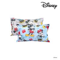 ราคา โมเมนโตหมอนอิงเย็นดิสนีย์ 14X24 นิ้ว (คละแบบ) MOMENTO (75598745)