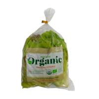 ราคา ORGANIC HARVEST FARM กรีนโอ๊ค+เรดโอ๊คออร์แกนิค แพ็คละ ORGANIC HARVEST FARM (75566278)