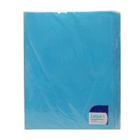 ราคา โลตัส แฟ้มโชว์สอดปก 20 ไส้ ฟ้า LOTUSS (51379476)