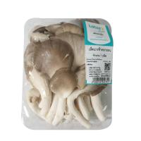 ราคา โลตัส เห็ดนางฟ้าดอกอ่อน 100 กรัม แพ็คละ LOTUSS (14424231)