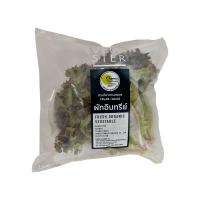 ราคา เวจ สเตอร์ เรดคอรอล อินทรีย์ แพ็คละ VEG STER (51180898)