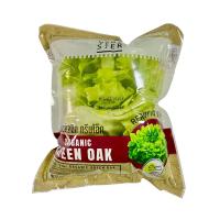 ราคา เวจ สเตอร์ กรีนโอ๊คออแกนิก แพ็คละ VEG STER (51892616)