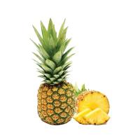 ราคา โลตัส สับปะรด MD2 ลูกละ LOTUSS (52201962)