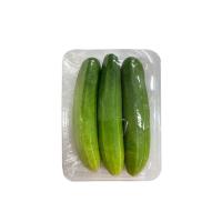 ราคา โลตัส แตงกวาแพ็คละ LOTUSS (21702020)