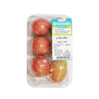 ราคา โลตัส มะเขือเทศสีดา แพ็ค LOTUSS (73302511)