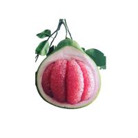 ราคา โลตัส ส้มโอทับทิมสยาม ลูกละ LOTUSS (73833967)