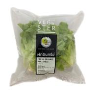 ราคา เวจ สเตอร์ กรีนโอ๊ค อินทรีย์ แพ็คละ VEG STER (51180848)
