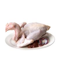 ราคา ไก่บ้านแท้ ตัวละแช่แข็ง (52665769)