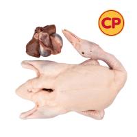 ราคา ซีพี เป็ดสดล้วงพร้อมเครื่องใน M CP (52173026)