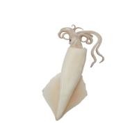 ราคา หมึกกล้วยลอก 20-30 ตัว/กก. กก.ละ (75582249)