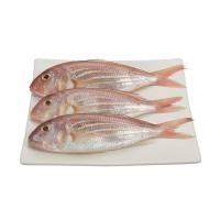 ราคา ปลาทรายแดง กก. ละ (52195311)