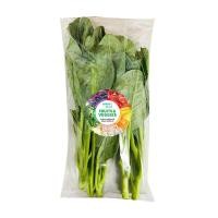 ราคา คะน้า บิ๊กแพ็ค 500 กรัม แพ็คละ LOTUSS NO BRAND (75583820)