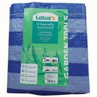 ราคา LOTUSS ผ้าใบพลาสติก สีฟ้า-ขาว 1.65X2.55ม. LOTUSS (51942161)