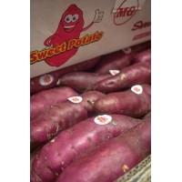 ราคา มันเทศญี่ปุ่น 5 กิโลกรัม /กล่อง