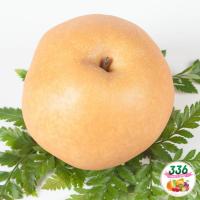 ราคา สาลี่หิมะ ลูกใหญ่ (KOR) 7ลูก/กล่อง