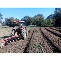 ราคา รถไถรับจ้างไถ พรวนดิน ปรับเกรดหน้าดิน ยกร่อง ในเชียงใหม่ (มือสอง) (352643282)