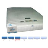 ราคา ที่นอนHomematt รุ่น Parasoft 5 ฟุต