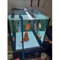 ราคา ตู้ปลา 36 24 24 กรองล่างพร้องปลา (360958660)