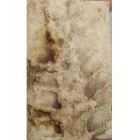 ราคา 7301-พระสมเด็จเก่าเนื้อผงเก่าหลังลายก้างปลา (มือสอง) (360970657)