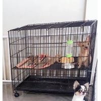 ราคา แม่พันชิวาว่า (360940561)