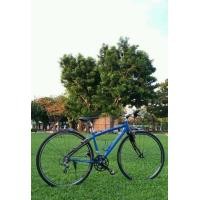 ราคา จักรยานไฮบริด SPECIALIZED รุ่น SIRRUS sport (มือสอง) (119034423)