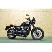 ราคา TRIUMPH t100 (มือสอง) (360941500)