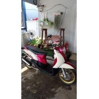 ราคา ฟีโน่ปี 52 (มือสอง) (360940504)