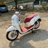 ราคา Scoopy i Prestige ปี60 รถจ้าวแรกมือเดียวออกห้าง สวยๆ เดิมๆ เครื่องดีเว่อร์ ภาษีต่อให้เต็ม ชุดโอนครบ (มือสอง) (360945772)