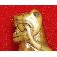 ราคา เสือคาบหาง (มือสอง) (360929338)