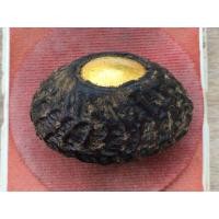 ราคา เบี้ยแก้ทองคำหลวงปู่เอี่ยม สะพานสูง (มือสอง) (360931365)