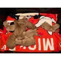 ราคา โกลเด้น (360934023)