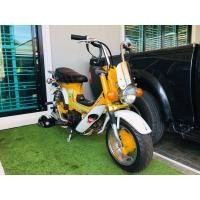 ราคา ชาลี สวยๆ (มือสอง) (360928597)