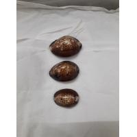 ราคา เบี้ยแก้หลวงพ่อบุญลือ วัดคำหยาดอ่างทอง (มือหนึ่ง) (353176421)