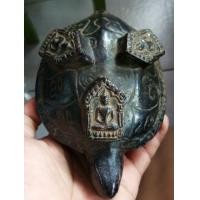 ราคา พญาเต่าเรือนหลวงปู่ทิมวัดละหารไร่ (มือสอง) (355591446)