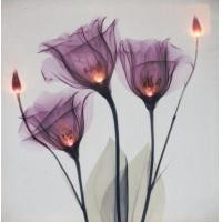 ราคา ภาพติดผนังห้องนอน รูปดอกไม้ มีไฟ Led บนดอกไม้ ภาพติดผนังห้อง ภาพติดผนัง canvas ภาพติดผนังกรอบลอย ภาพติดผนัง 3 มิติ ภาพกรอบลอยติดผนัง (มือหนึ่ง) (360870786)