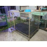 ราคา กรงสุนัขมือสอง (มือสอง) (360922878)