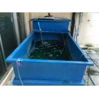 ราคา ขายอ่างปลา (มือสอง) (360888313)