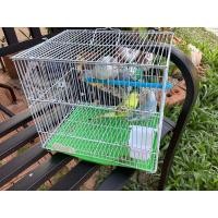 ราคา ขายหงส์หยกสีสวยๆ (360857124)