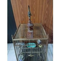 ราคา กรงนกหัวจุก (มือสอง) (360908711)