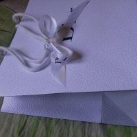 ราคา ถุงกระดาษ ดิออร์ แท้ (มือสอง) (360916179)